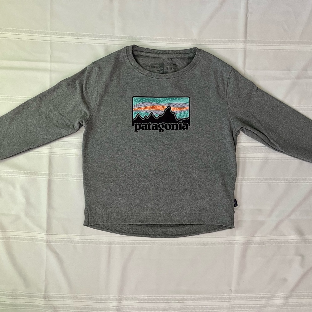 Gray Patagonia sweatshirt, size M